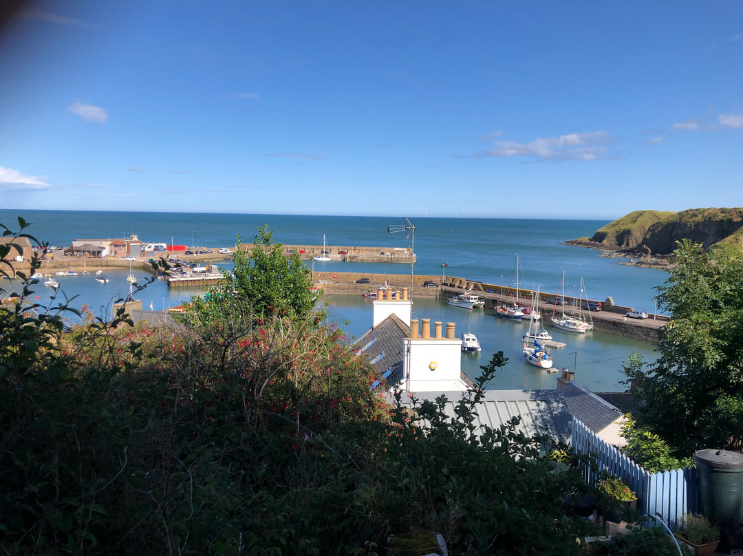 Stonehaven Harbour-斯通黑文必去景点