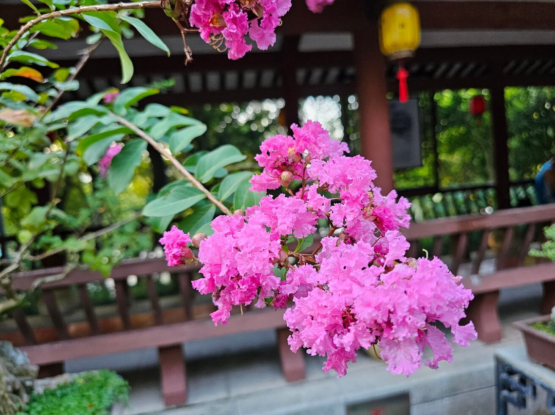 南宁人民公园景点图片