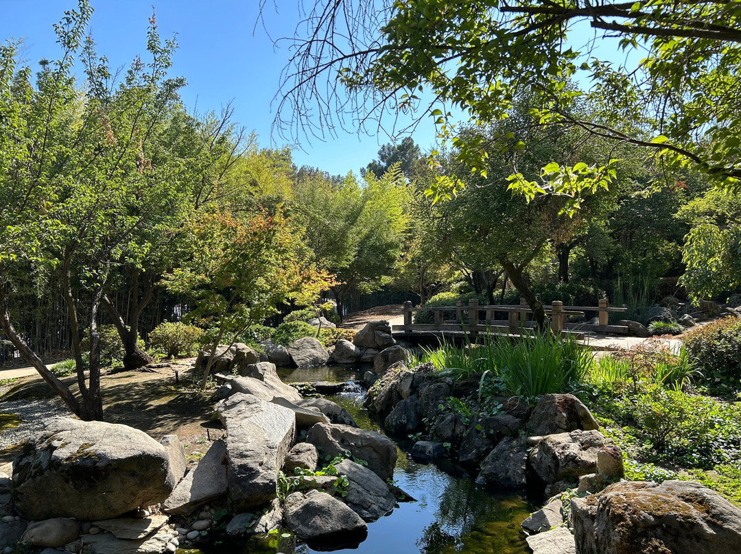 Shinzen Japanese Garden-弗雷斯诺必去景点