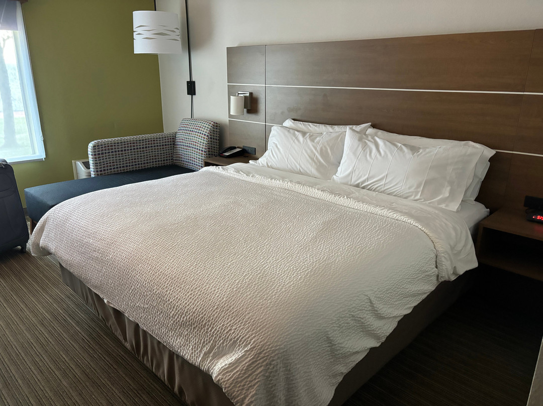 布洛英罗克快捷假日酒店主图