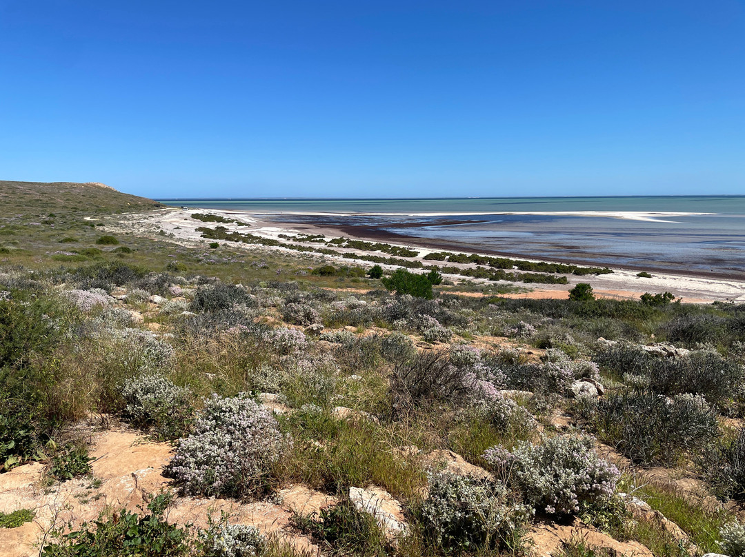 Eagle Bluff-德纳姆必去景点