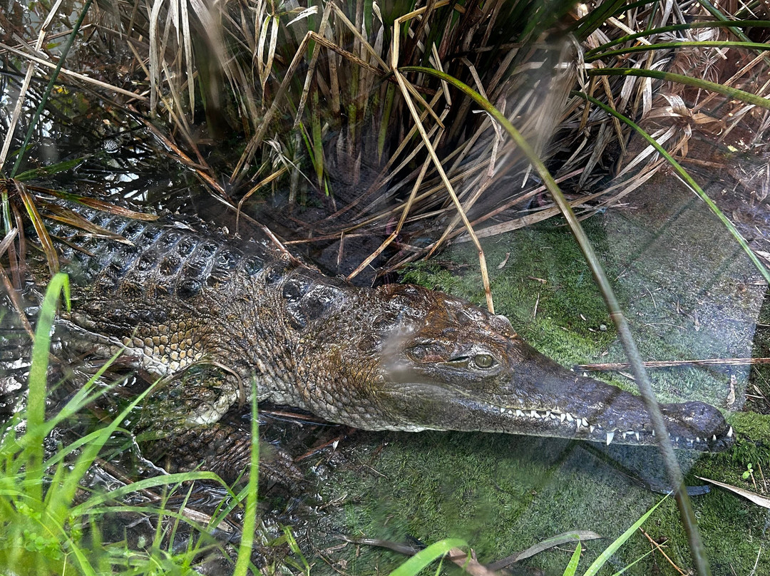 West Australian Reptile Park景点图片