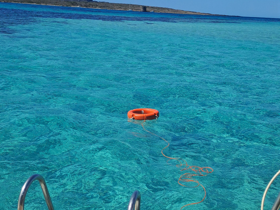 Asinara Garbo Charter-斯廷蒂诺必去景点