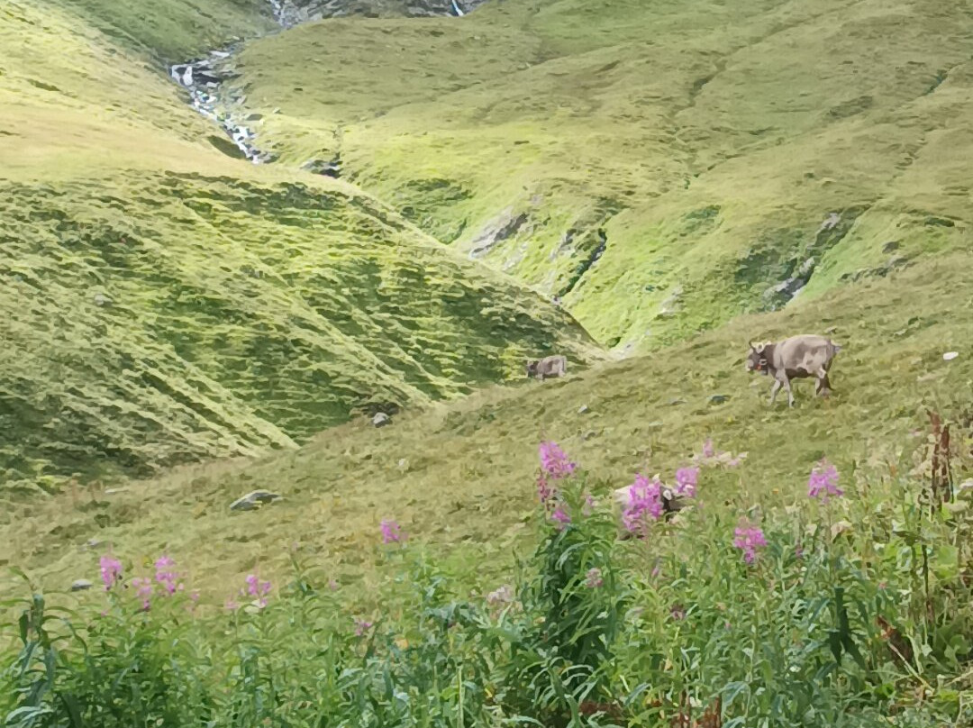 Dampfbahn Furka Bergstrecke景点图片