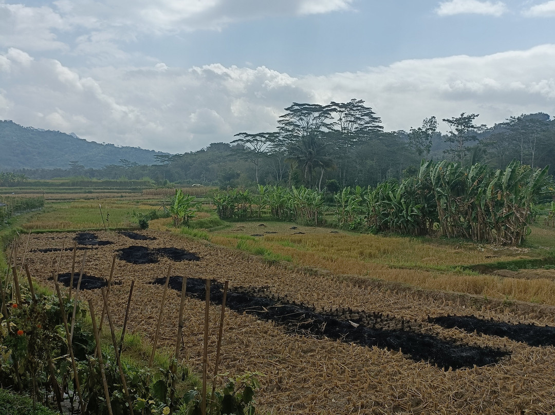 Kaleidoscope of Java Tour-日惹必去景点