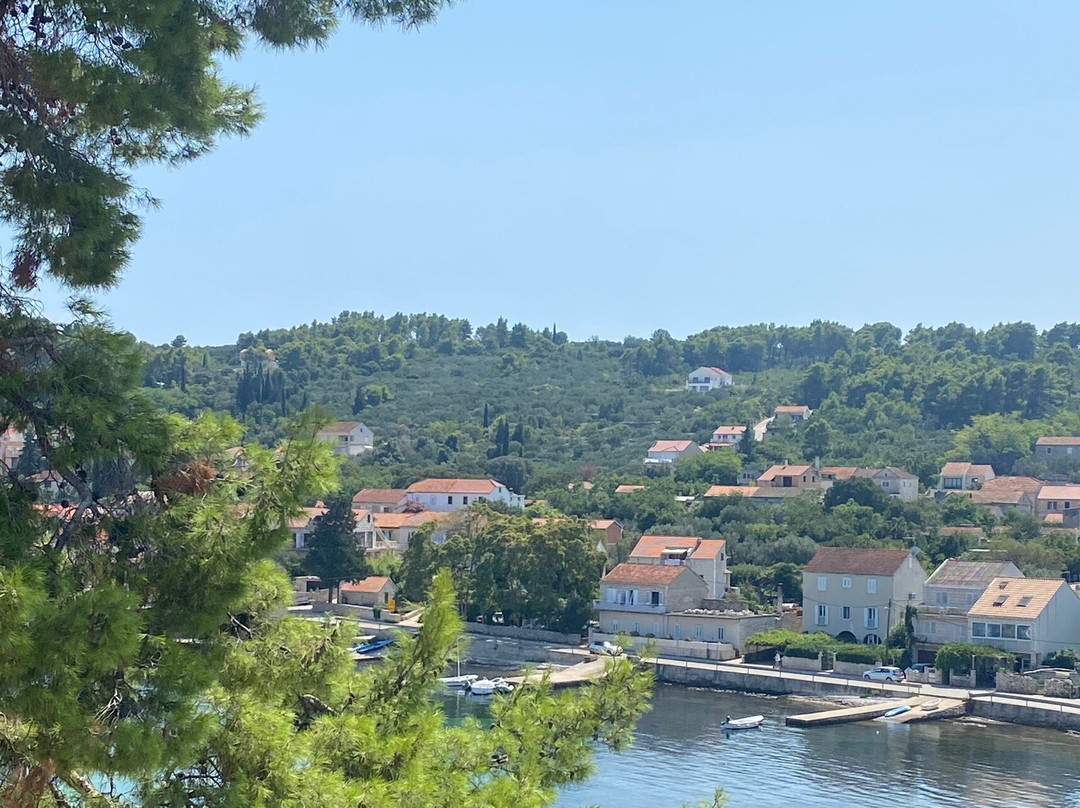 Guest House Lovric主图