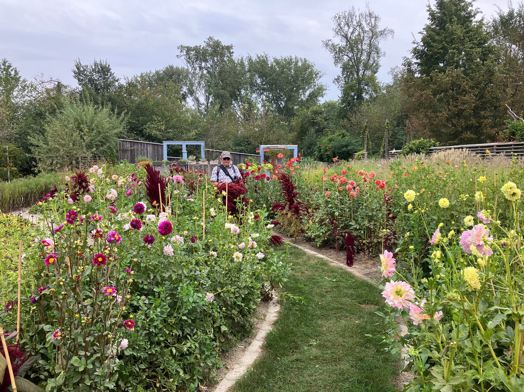 Bauernhof Wolf-Hof主图