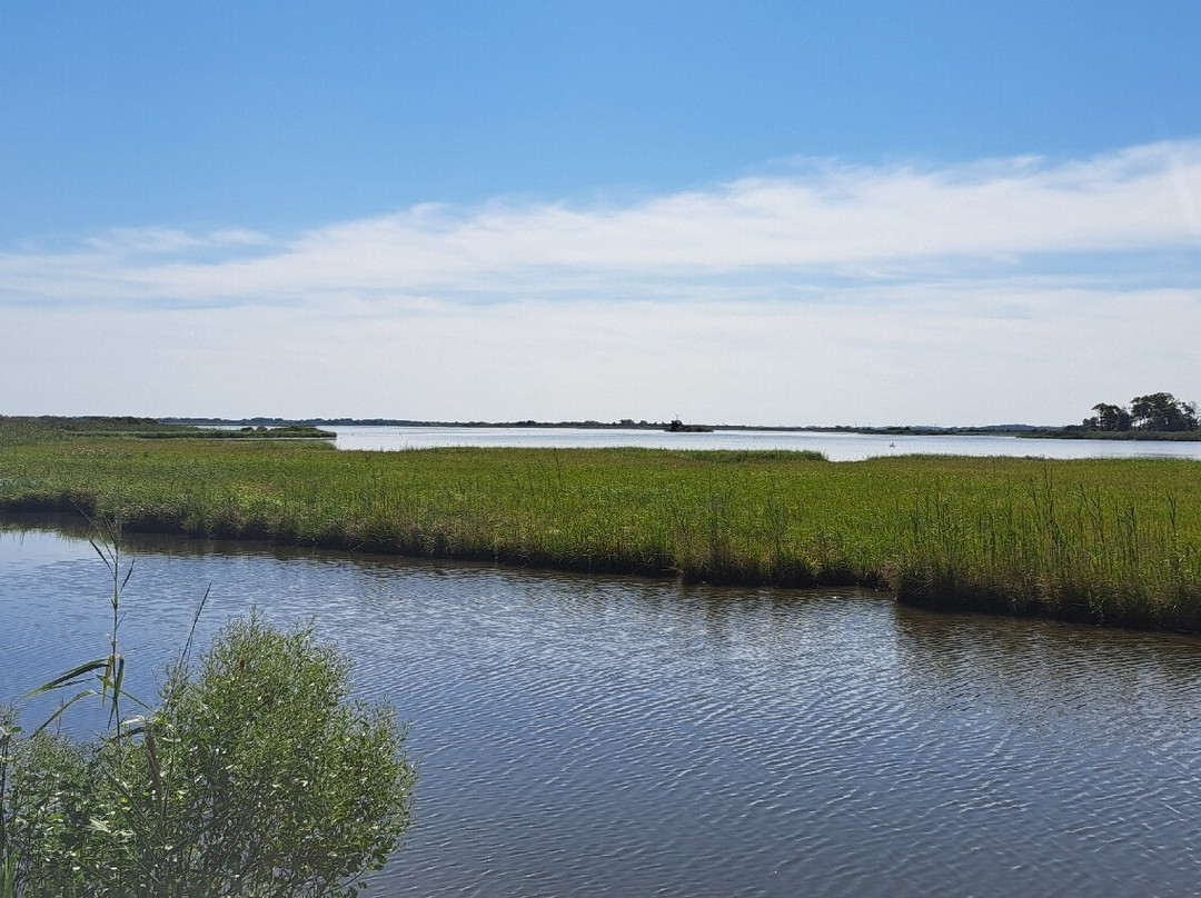 Prime Hook National Wildlife Refuge-Milton必去景点