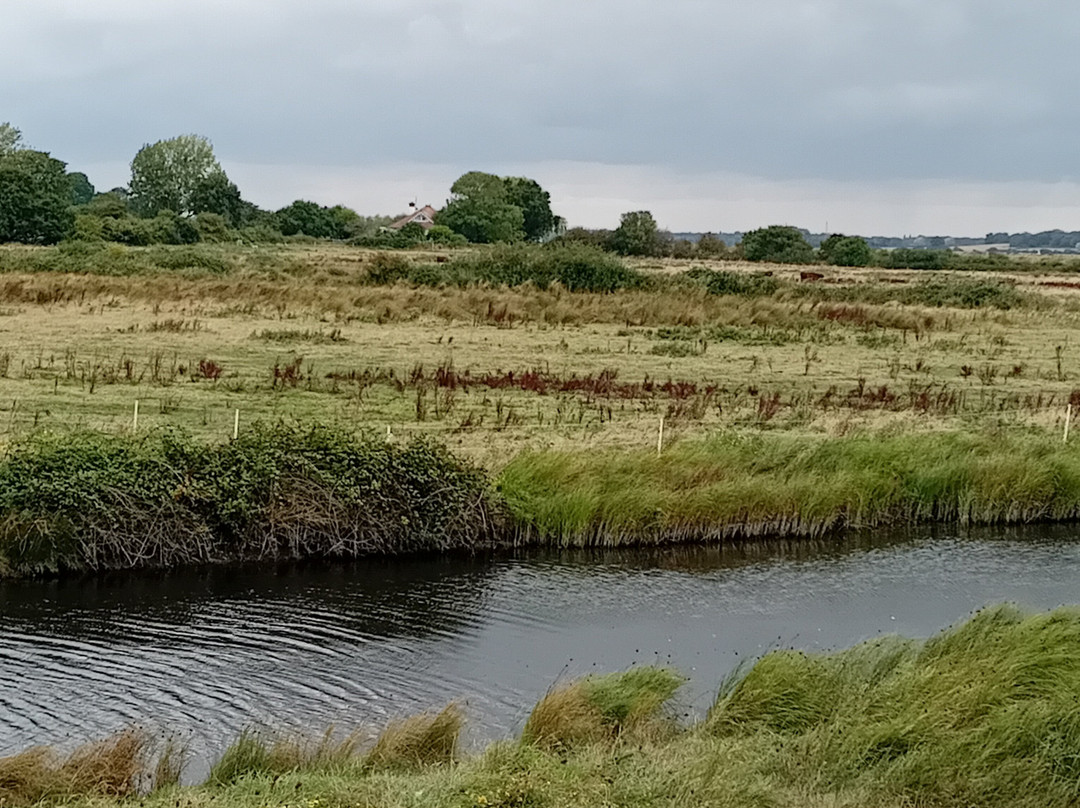 Cudmore Grove Country Park景点图片