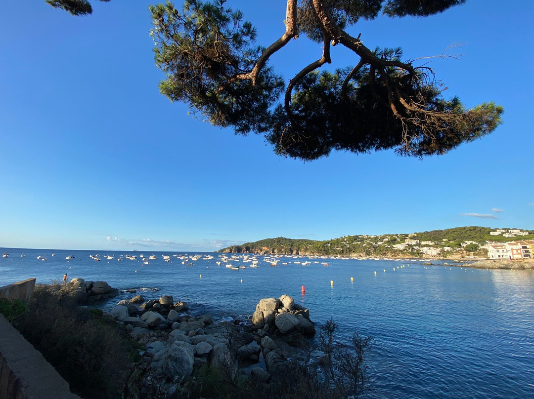 Playa De Llafranc景点图片