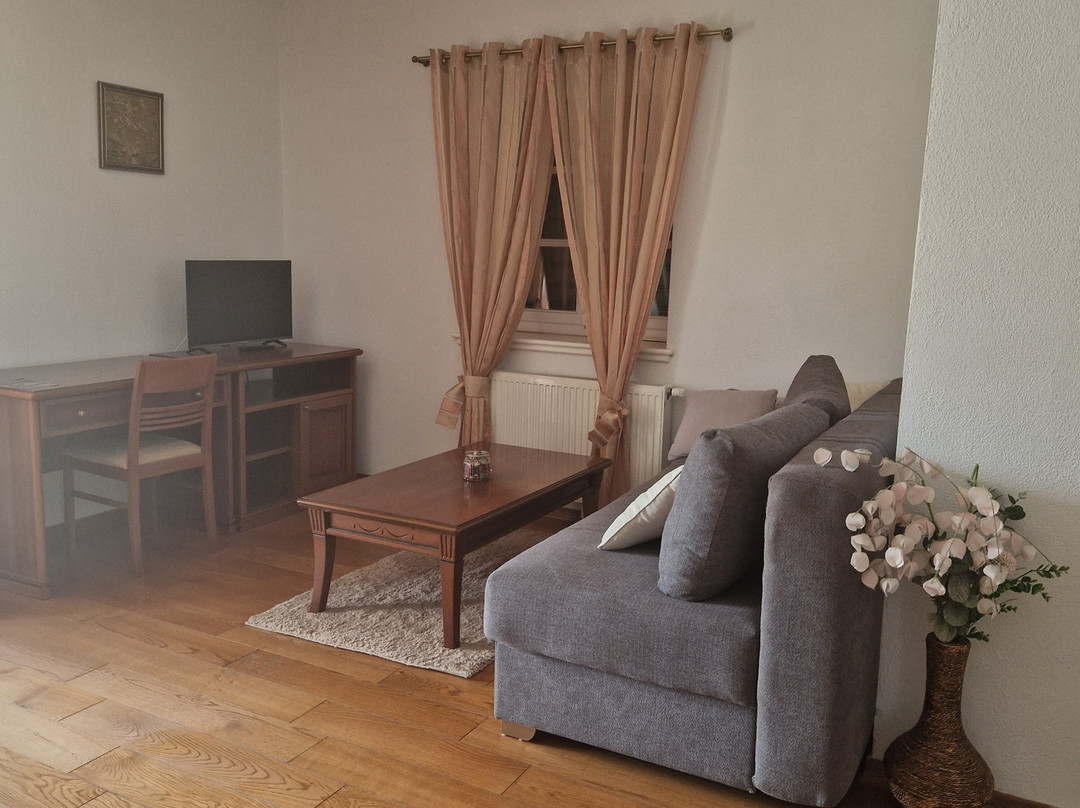 Pansion Skelin主图