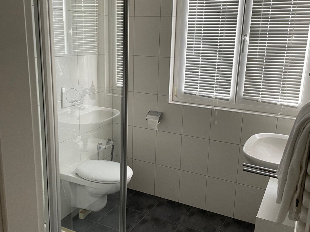 Gasthaus Hirsch Haueneberstein主图