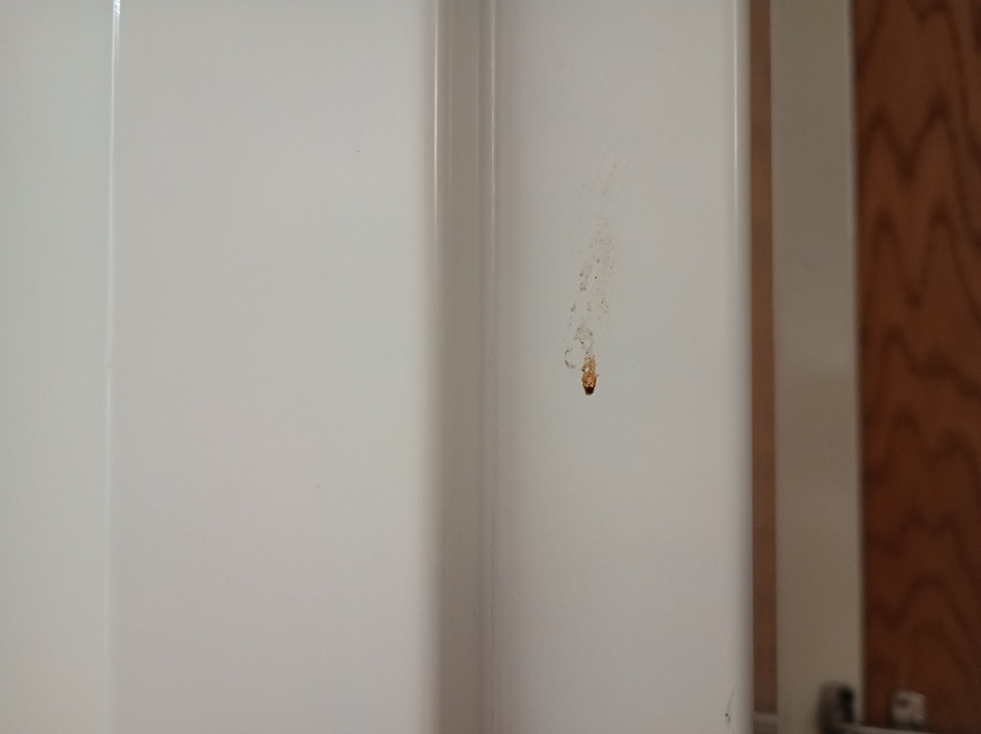 La Quinta Inn & Suites by Wyndham Detroit Metro Airport主图