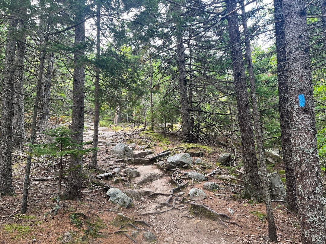 Beech Mountain Trail景点图片