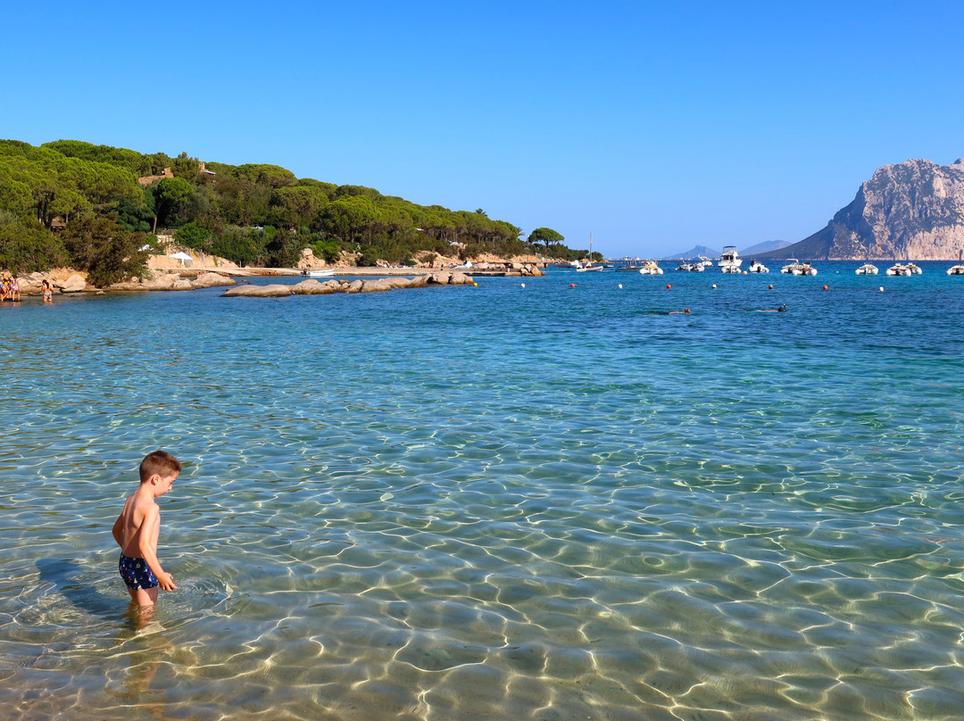 Le Farfalle - Cala Suaraccia Beach-San Teodoro必去景点