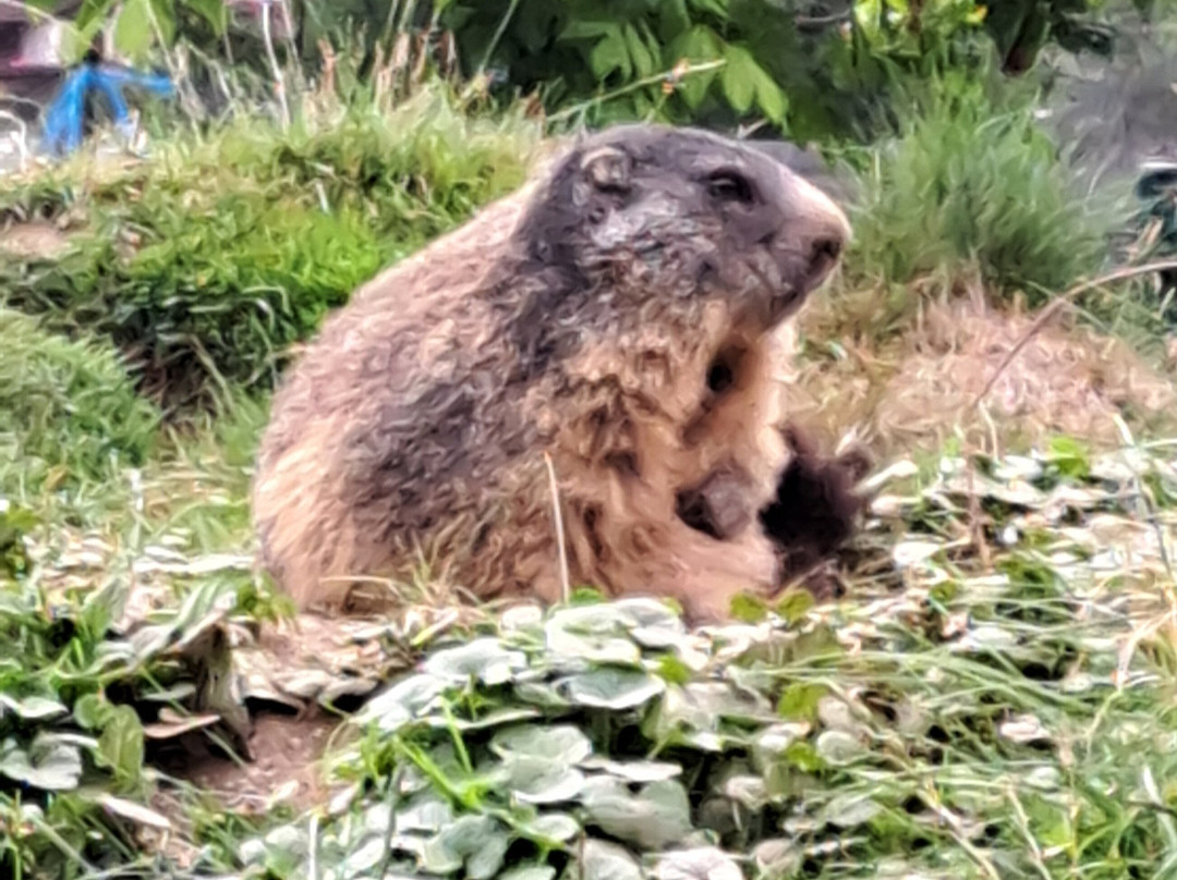 Hotel Der Kirchheimerhof主图