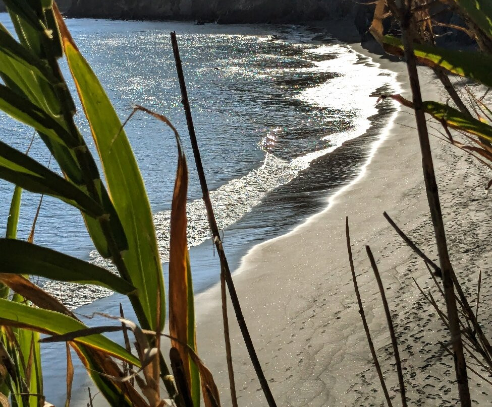 Praia Da Amora-Vila Franca do Campo必去景点
