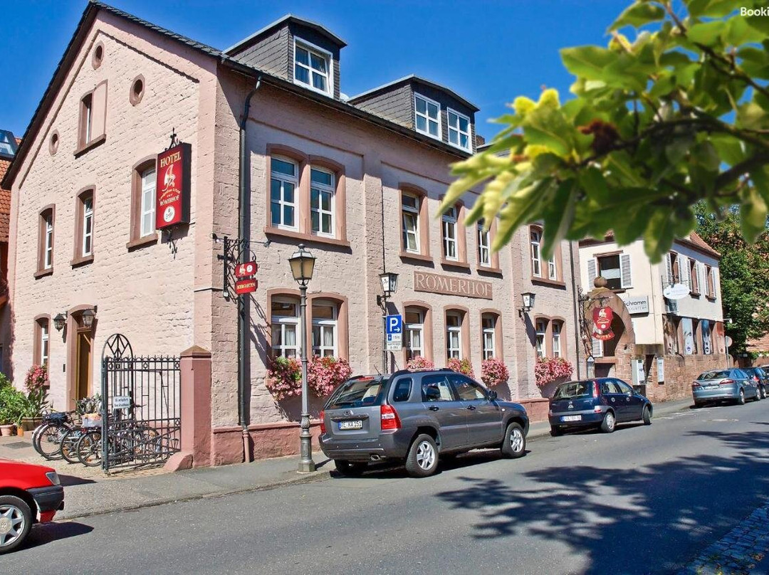 Landgasthaus Hotel Roemerhof主图