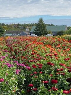 Broadturn Farm-斯卡伯勒必去景点