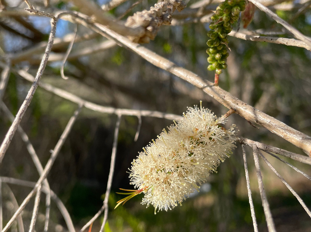 Wickham Court Playground-Heyfield必去景点