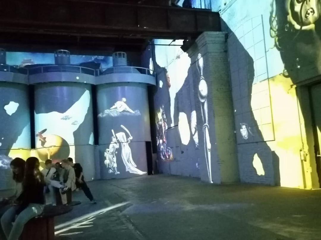 Phoenix des Lumieres景点图片