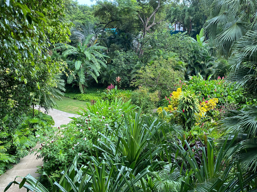 Capitán Suizo Beachfront Boutique Hotel主图