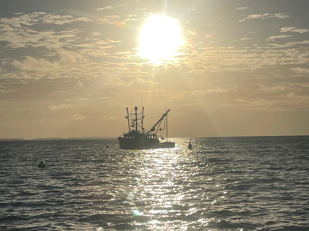 Inn On The Beach主图