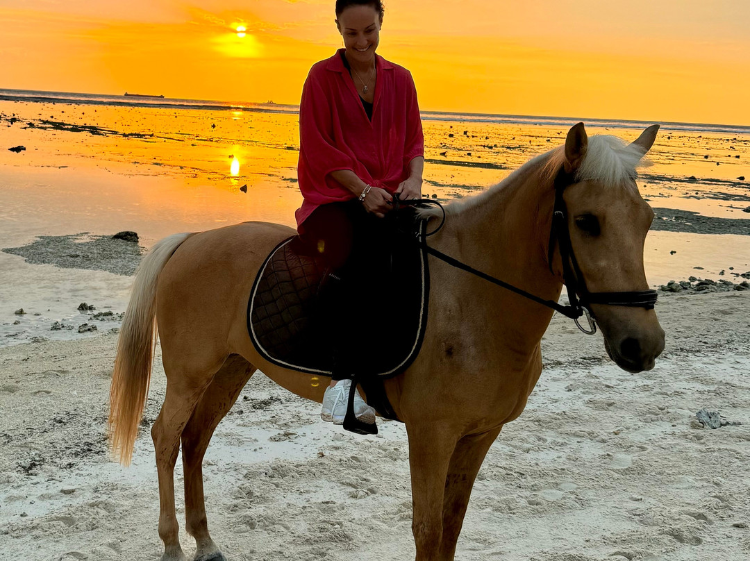 Stud Horse Riding and Rescue-吉利特拉万安必去景点