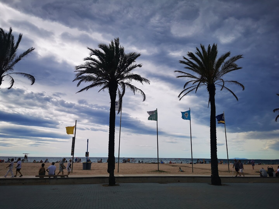 Paseo Maritimo景点图片