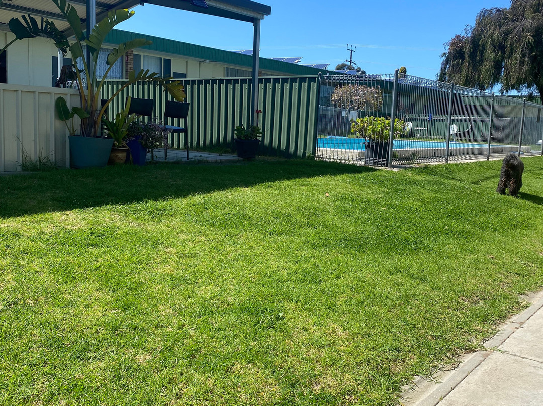 Sandpipers at Millicent主图