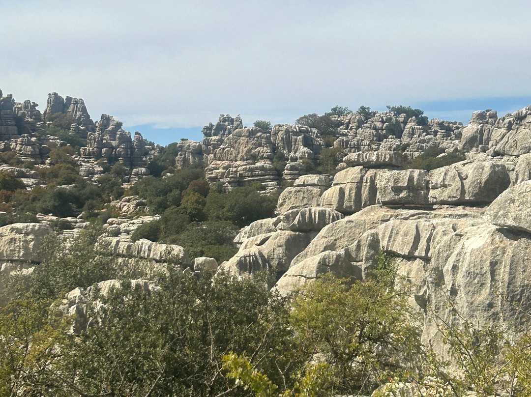 Trailworld景点图片