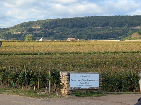 Burgundia Tour-巴黎必去景点