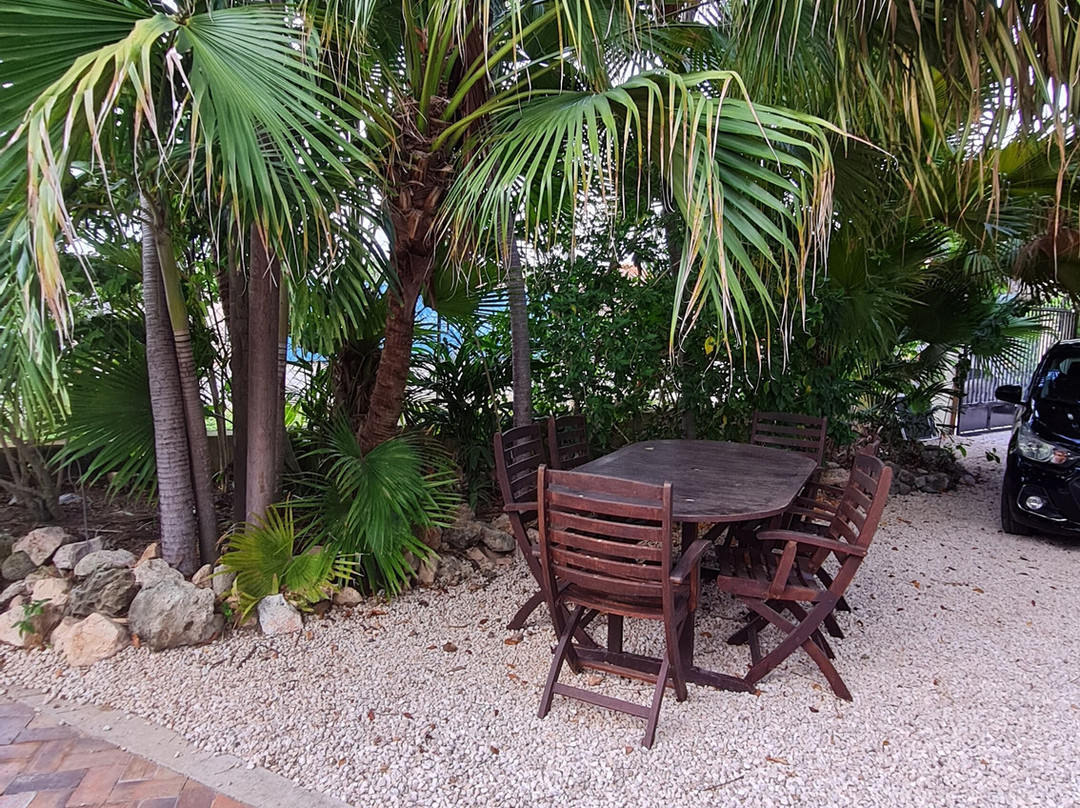 B&B Villa Zomerland主图