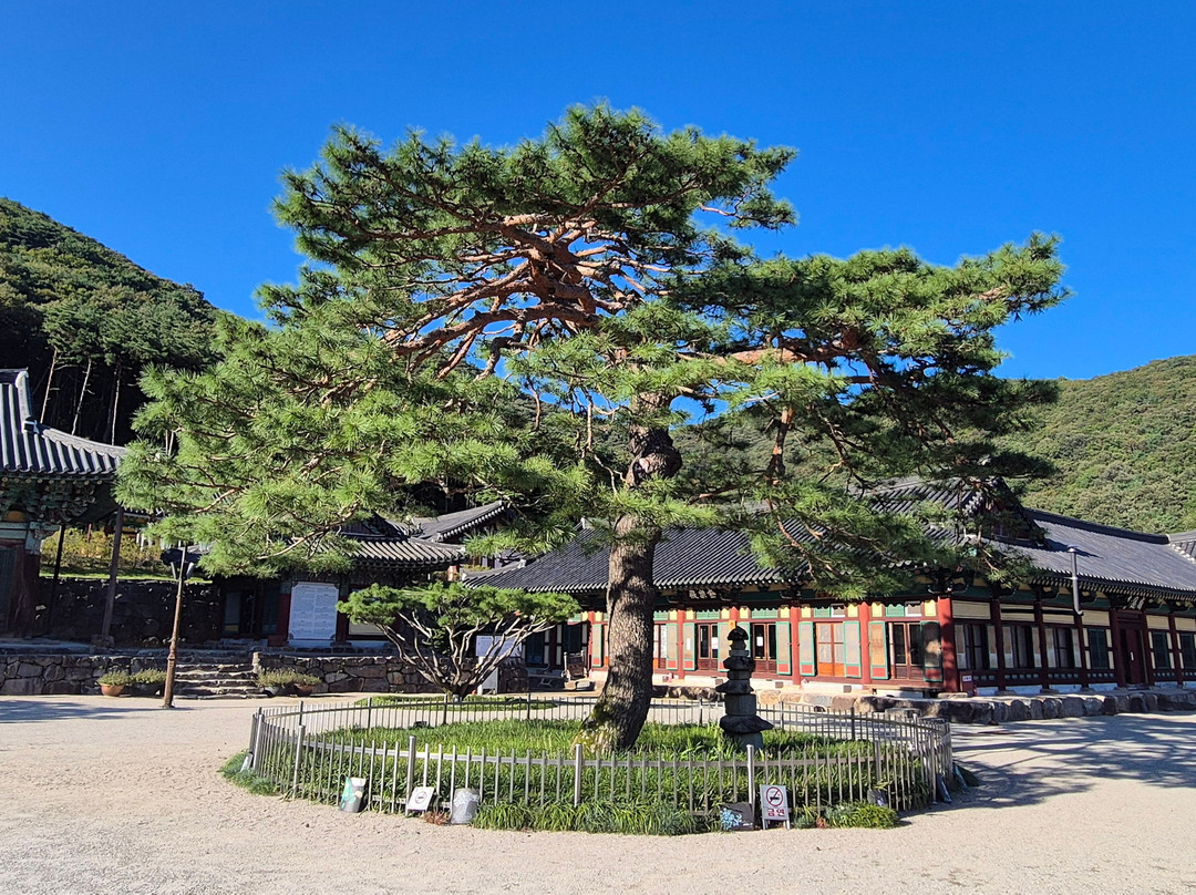 Wibongsa-完州郡必去景点