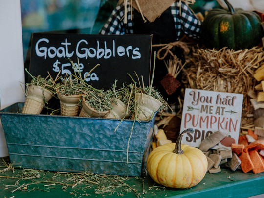 Oma's Family Farm-Lakeside必去景点