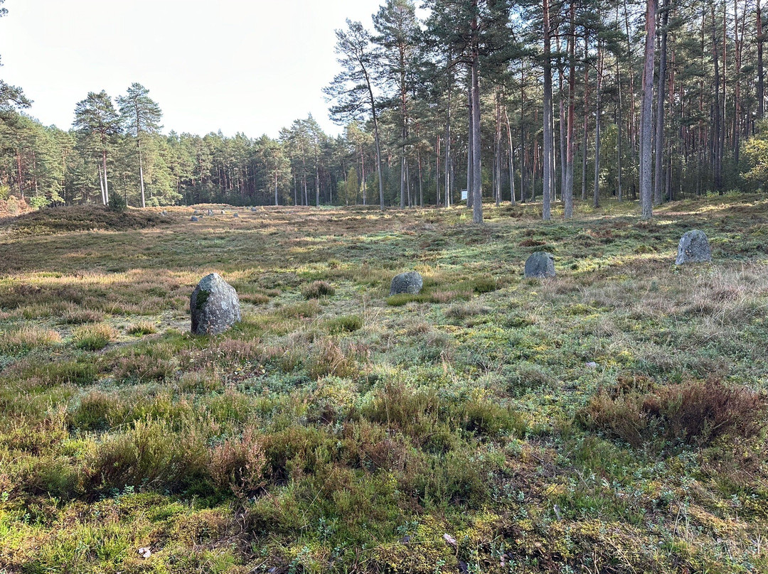 Stone Circles in Odry-Czersk必去景点