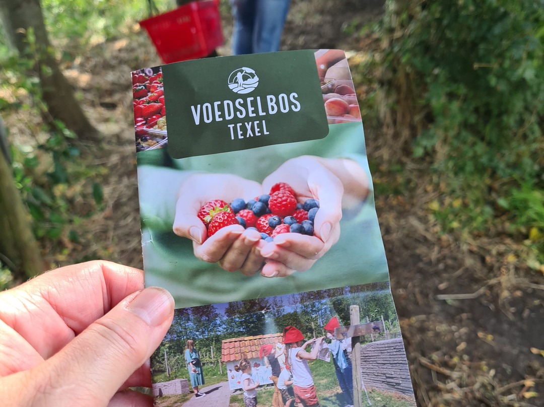 De Zelfpluktuin-特塞尔必去景点