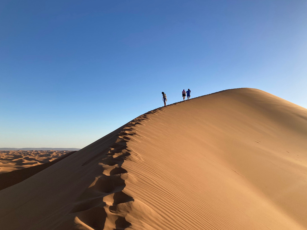 Sahara Unlimited Morocco Tours-马拉喀什必去景点