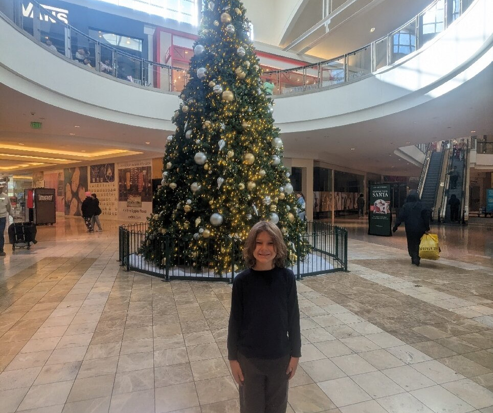 The Galleria at Sunset-亨德森必去景点