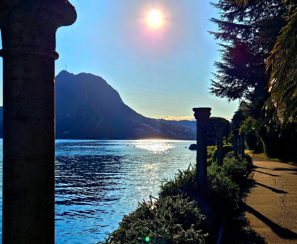 The Olive Grove Trail-卢加诺必去景点