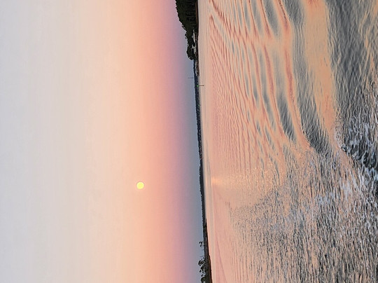 Sunny Lady Dolphin & Sunset Cruise at The Wharf-橙色海湾必去景点