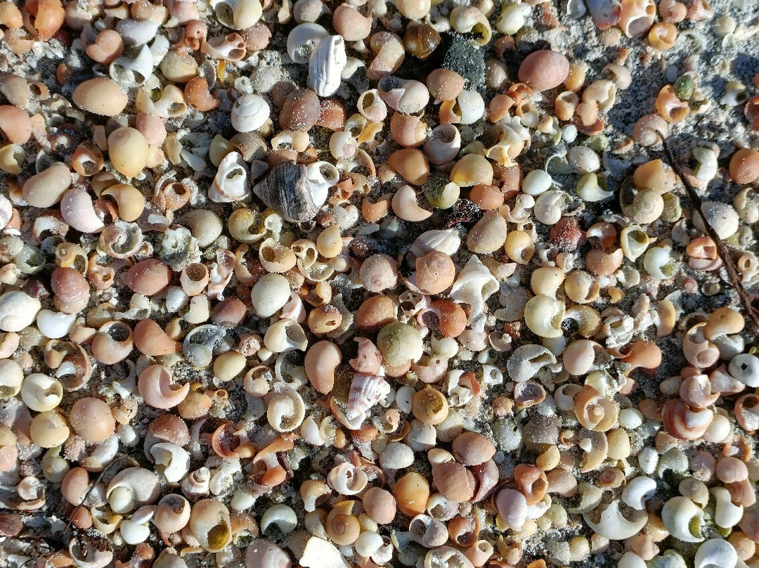 Aillebrack Green Coast Beach景点图片