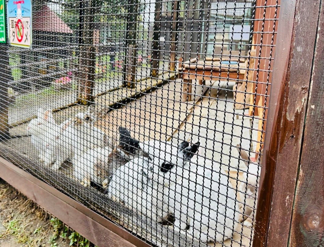 Nakayoshi Zoo-栗山町必去景点
