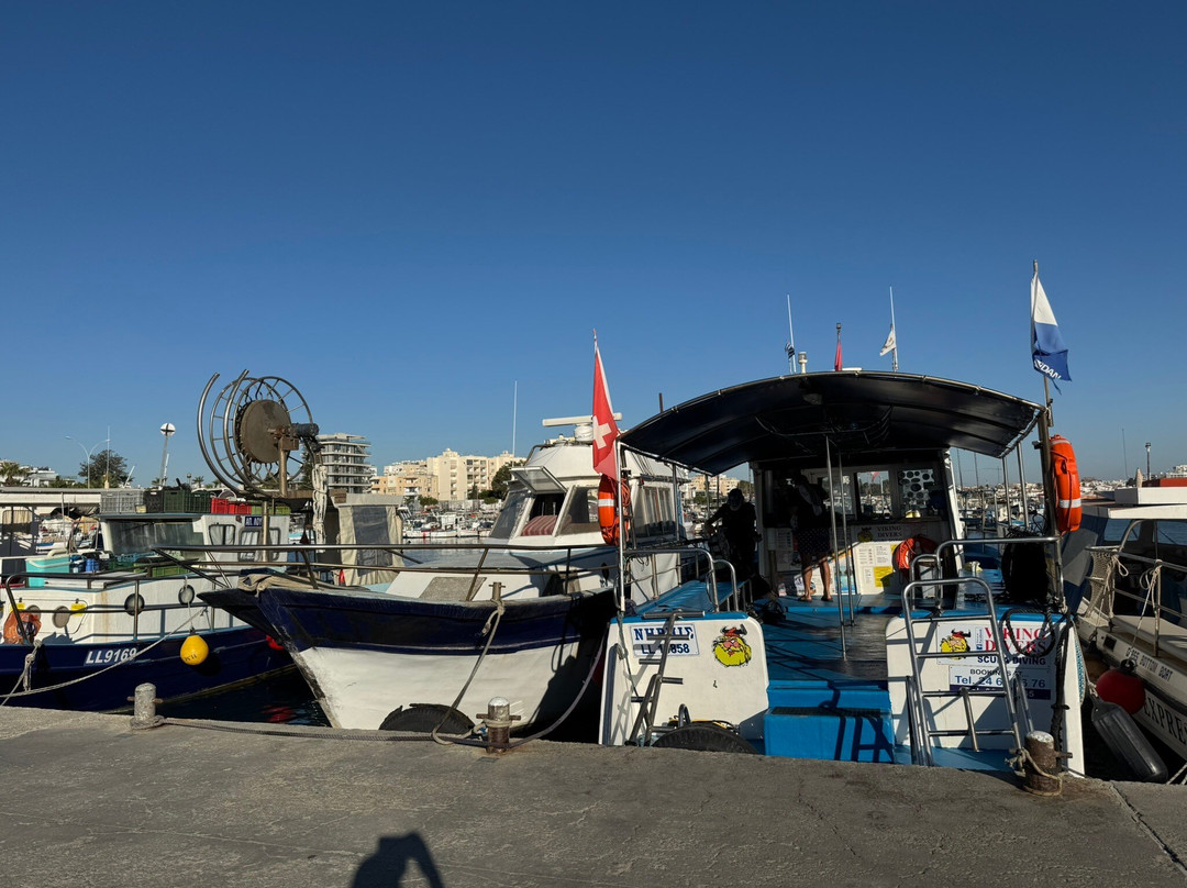 Viking Divers-拉纳加必去景点