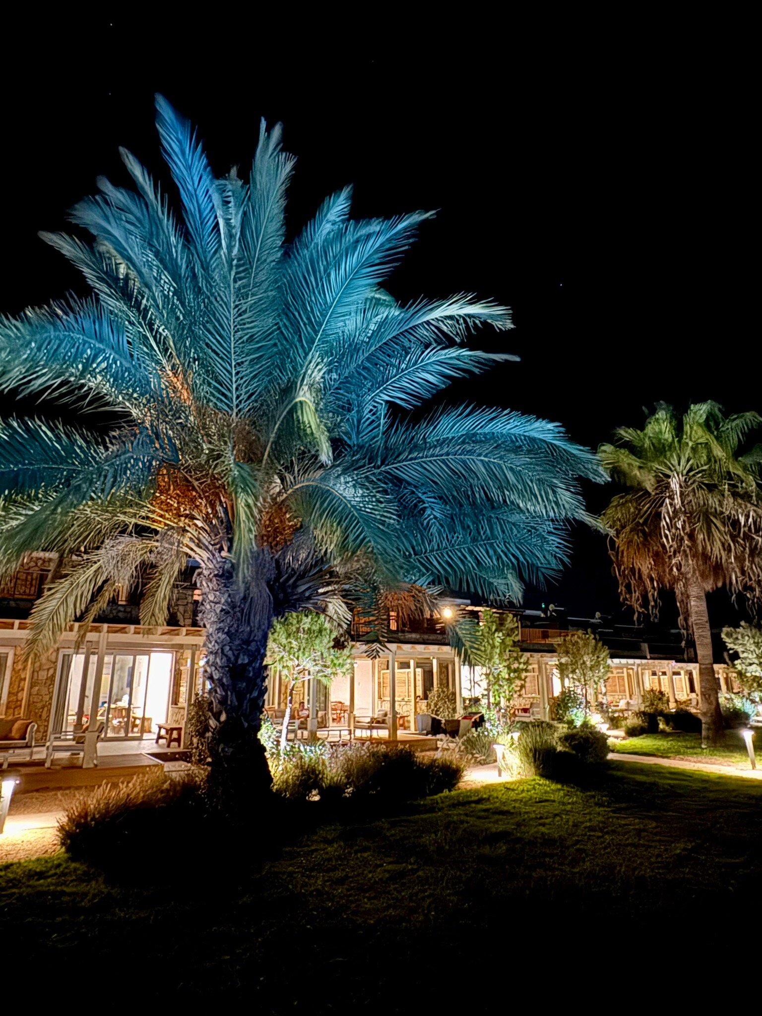Elya Beach Luxury Suites-官方