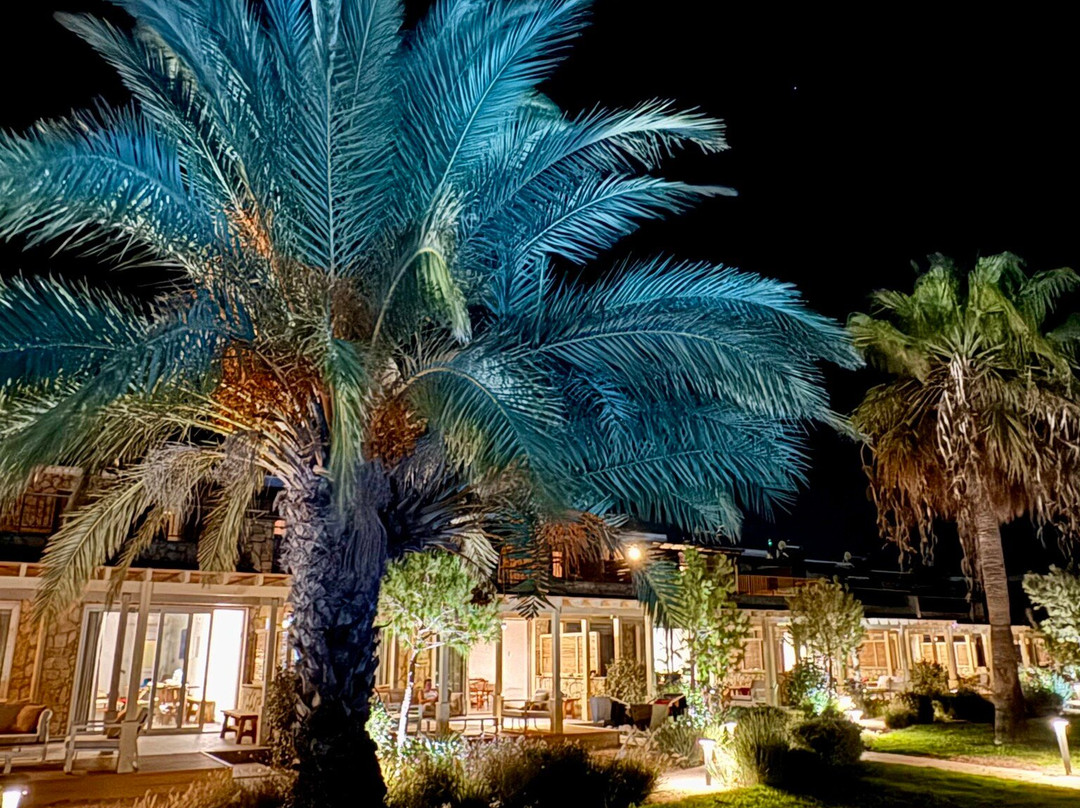 Elya Beach Luxury Suites主图