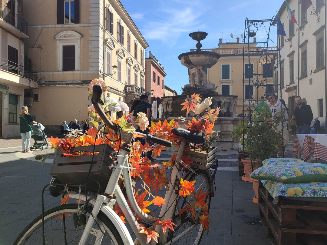 Piazza Del Comune景点图片