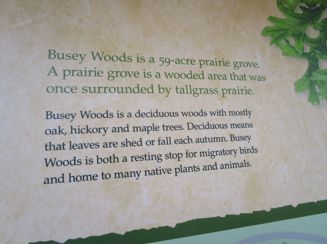 Busey Woods景点图片