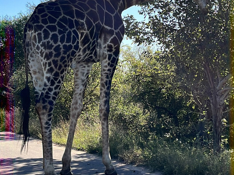 Thula Seats-白河必去景点