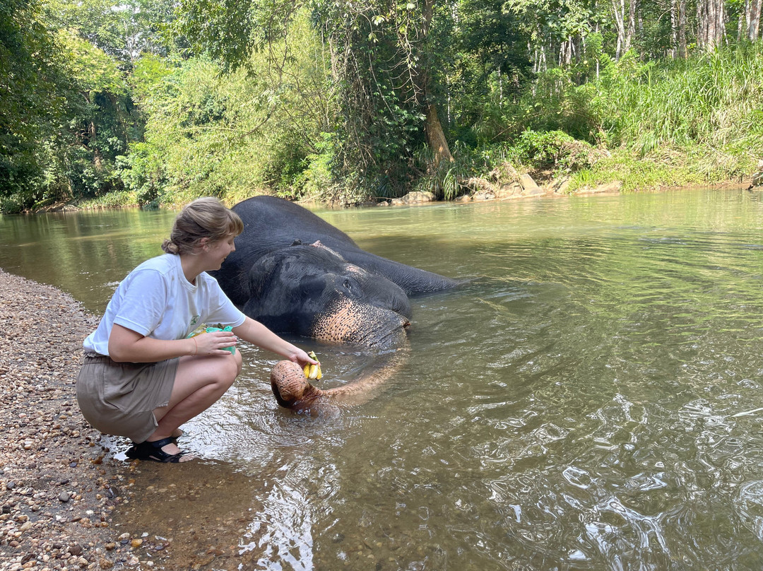 Elephant Care Relief Foundation景点图片